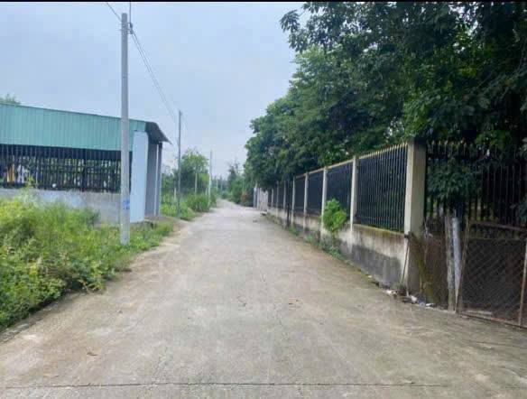 Đất thổ cư Phú Mỹ 124m² giá 2.2 tỷ - Cơ hội đầu tư hấp dẫn!