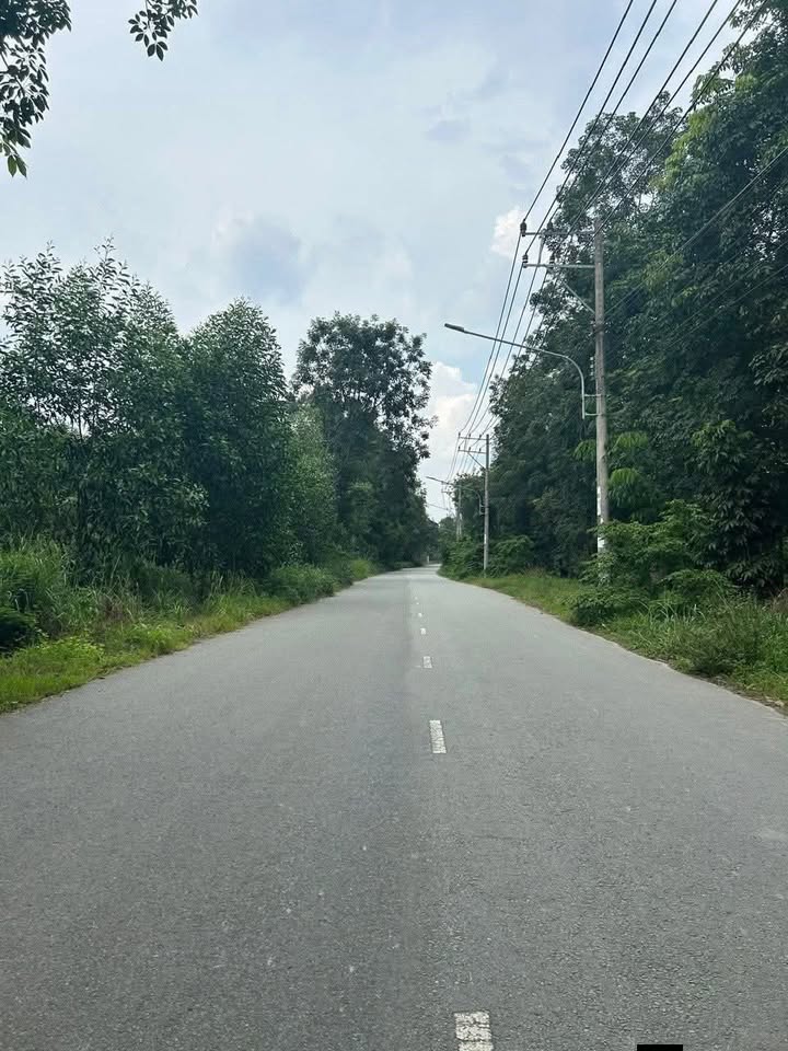 Đất nền 13.000m² tại Đường DH Bắc Tân Uyên - Giá 39 tỷ, Xây dựng nhà xưởng ngay!