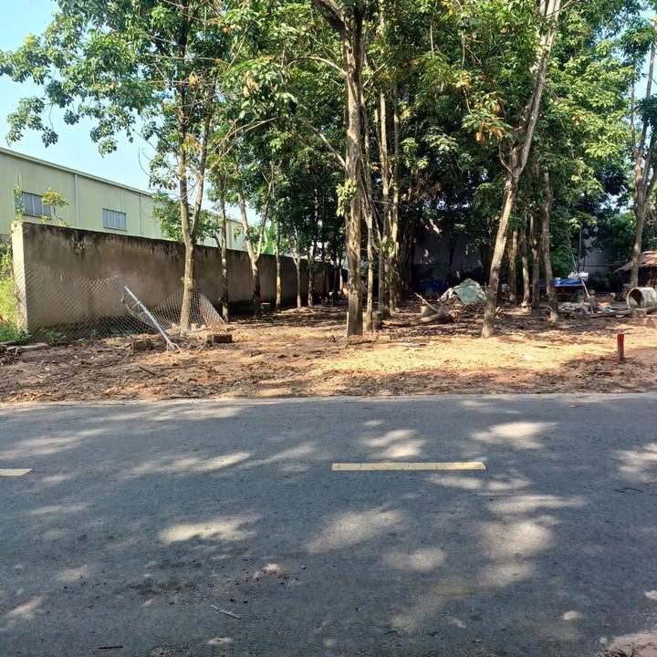 Đất nền dự án Mỹ Phước 3, Bến Cát 380m² giá chỉ 3 tỷ - Cơ hội đầu tư sinh lời cao!