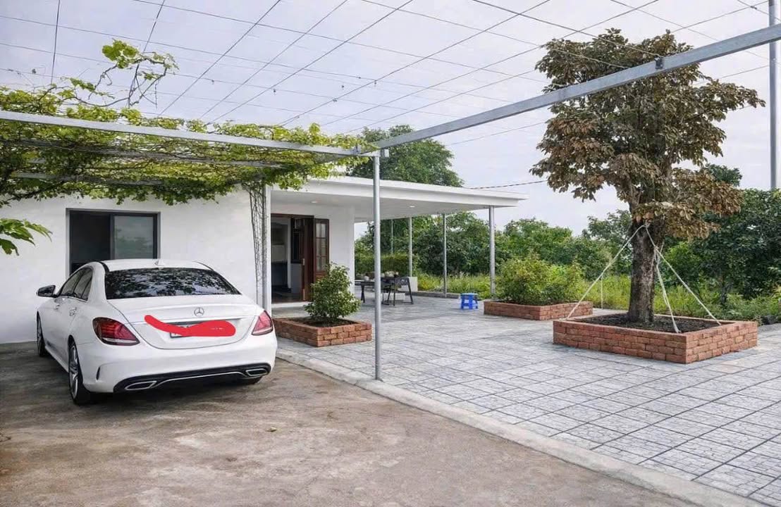 Bán gấp đất Farm 3000m² tại Bình Phước - Giá 187 triệu thương lượng