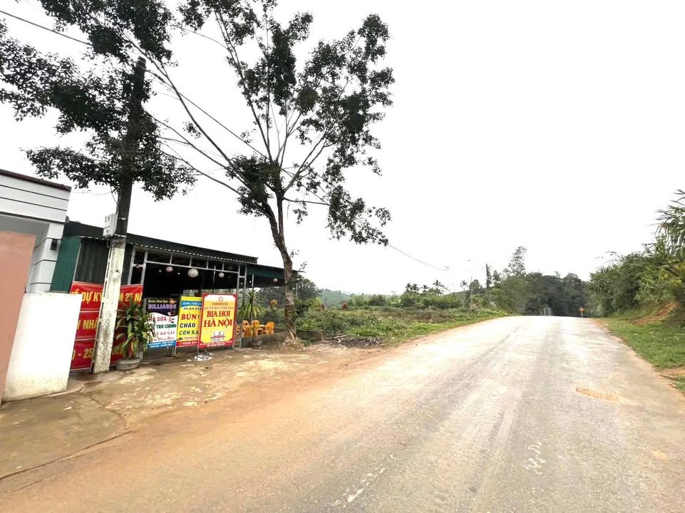 Đất mặt đường TL316C - Văn Miếu, Thanh Sơn, Phú Thọ 165,5m² - Đầu tư sinh lời ngay!