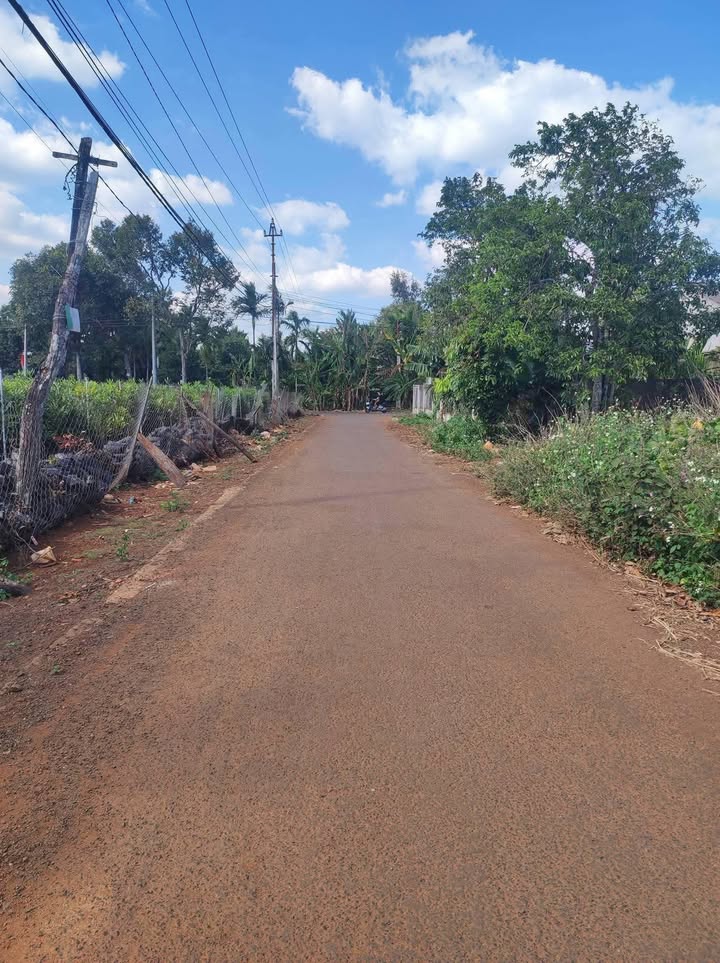 Đất mặt tiền Hoà Thắng 1190m² giá 289 triệu - Đầu tư tiềm năng sinh lời!