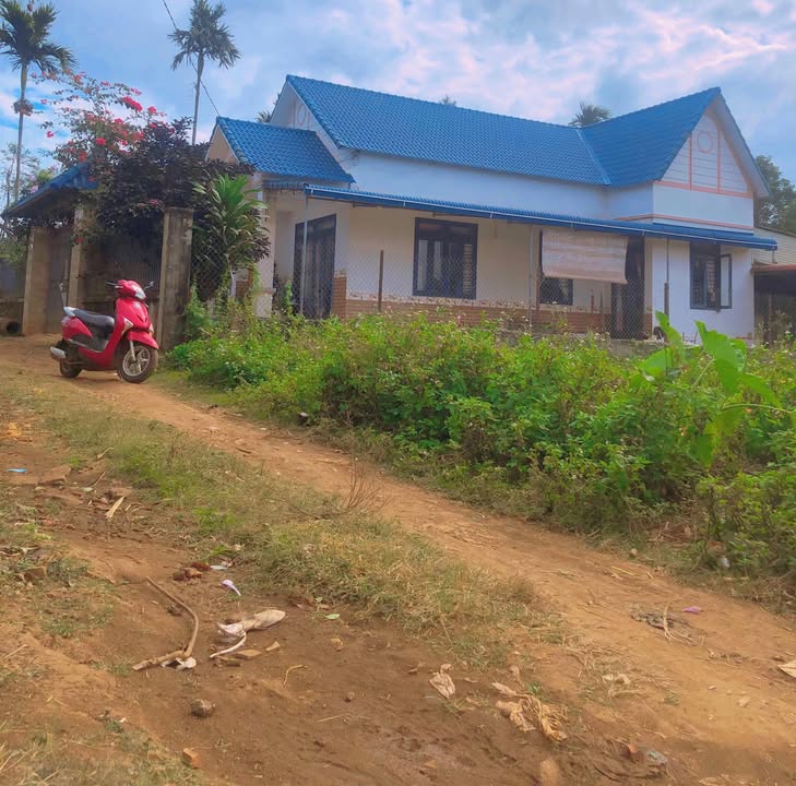 Đất nền Buôn Hluk, Ea Ktur, Đắk Lắk 300m² chỉ 580 triệu - Sổ hồng chính chủ!