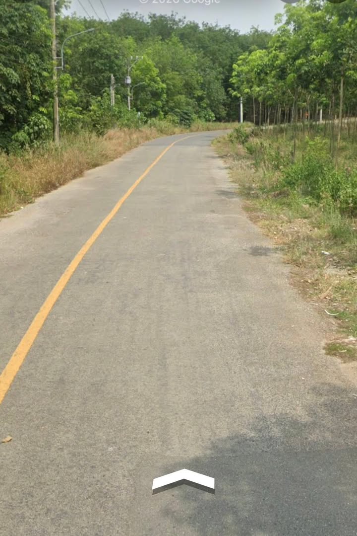 Đất nền đường DH513, Phú Giáo, 1300m² giá 2.8 tỷ - Đầu tư lý tưởng!