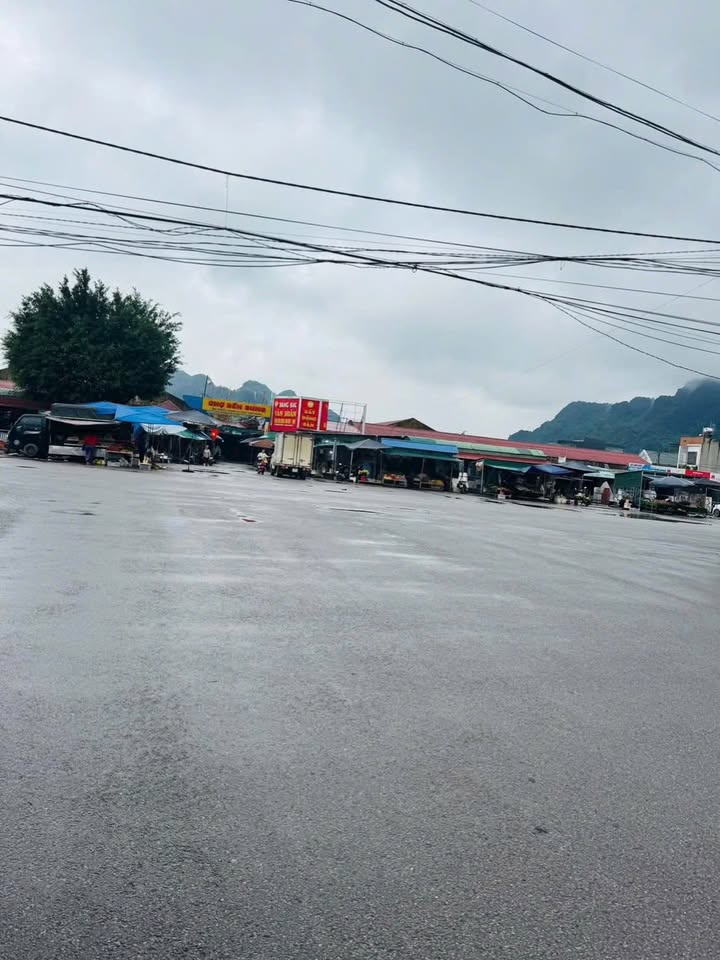 Đất thổ cư 220m² Thị trấn Bến Sung giá 600 triệu - Vị trí đẹp, dân cư đông đúc