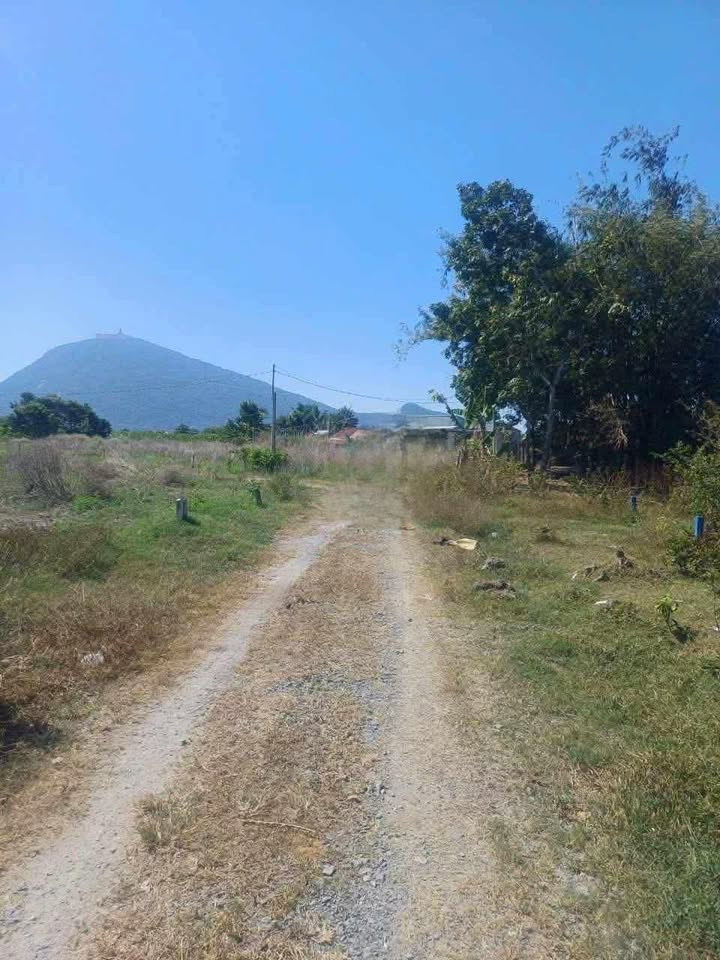 Đất thổ cư 250m² tại Suối Đá, Dương Minh Châu - Giá chỉ 250 triệu, cần bán gấp!