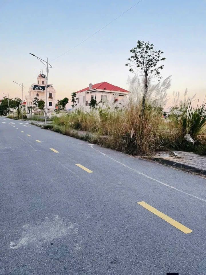 Đất nền 100m² tại Thị trấn Lâm Thao giá 1.9 tỷ - Vị trí trung tâm, đầu tư sinh lời!