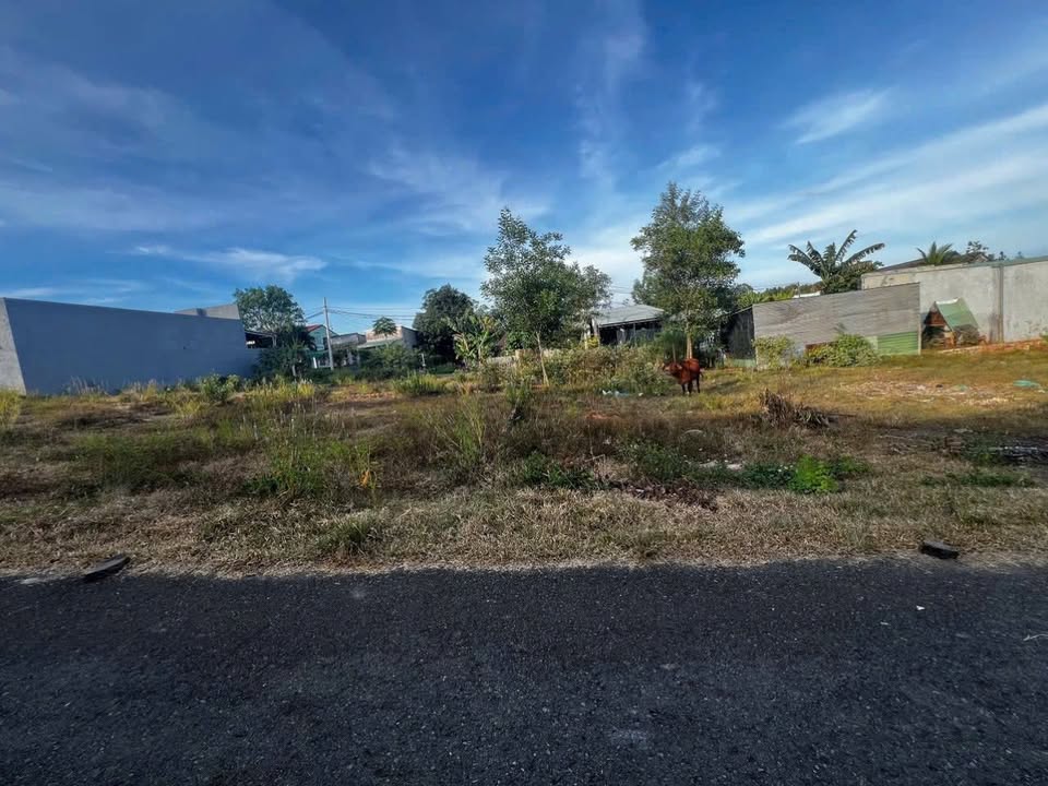 Đất thổ cư xã Trị An, huyện Vĩnh Cửu, Đồng Nai 85m² giá 1 tỷ - Cơ hội đầu tư lý tưởng!