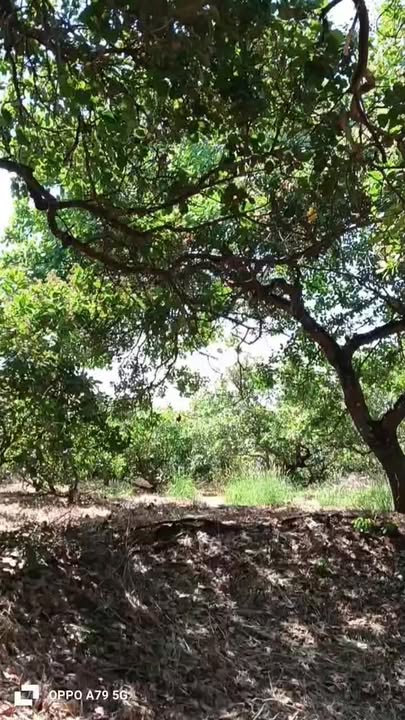 Đất nền 32.000m² tại xã Bom Bo, huyện Bù Đăng, Bình Phước - Giá chỉ 5.78 tỷ, cơ hội đầu tư tuyệt vời!