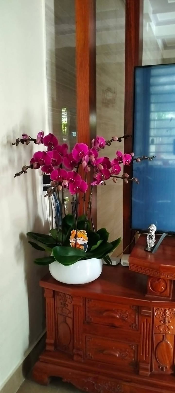 Đất mặt bằng 100m² xã Hà Trung - Cơ hội đầu tư hiếm có!