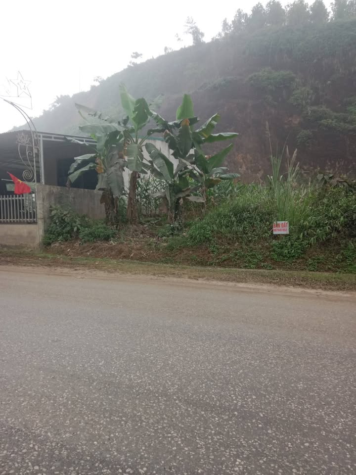 Đất mặt đường Quốc lộ 2D, xã Phú Thịnh, 125m² giá 800 triệu - Đầu tư kinh doanh sinh lời!