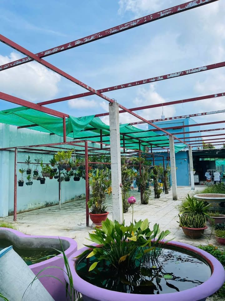 Nhà mặt tiền đường Trương Vĩnh Nguyên, Cần Thơ 500m² - Nhà mới đẹp, vào ở ngay!