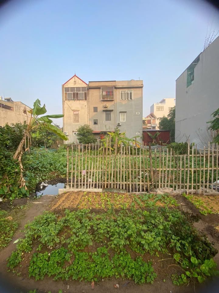 Bán đất ngõ 151 Lê Thái Tổ, Ninh Bình 90m² chỉ 7.2 tỷ - Đầy đủ tiện ích