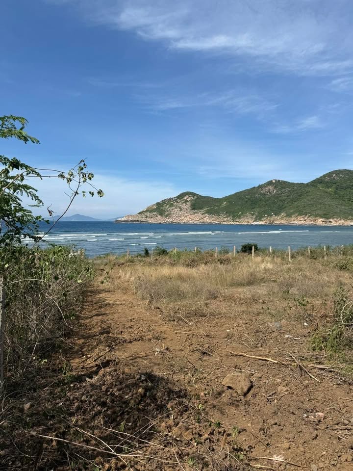 Đất ven biển Ninh Vân 9608m² giá 26 tỷ - Đầu tư sinh lời lý tưởng!