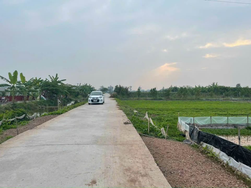 Đất nền thôn Trung Hòa, xã Phú Thọ, Kim Động 200m² - Giá chỉ 1xx triệu/m²