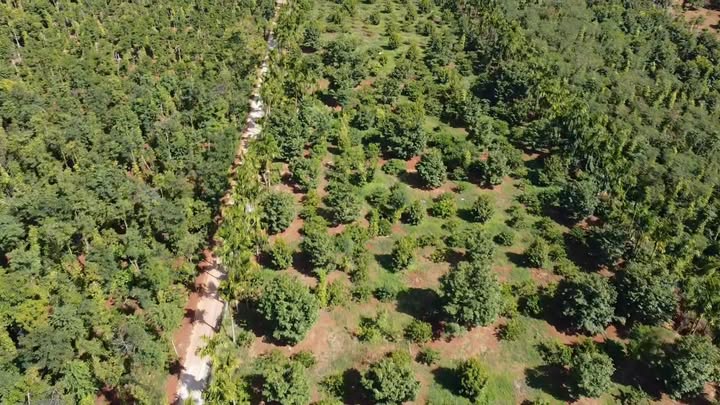 Nhà vườn nghỉ dưỡng kết hợp nông nghiệp tại Đắk Lắk 2ha - Đầu tư sinh lời bền vững!