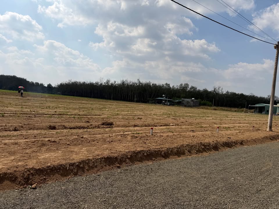 Đất nền 2500m² tại Đồng Tâm, Đồng Phú - Giá chỉ 240 triệu - Sổ đỏ chính chủ!