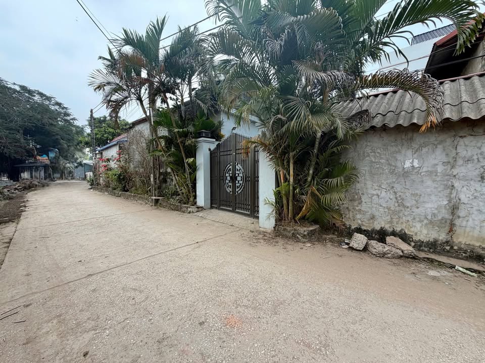 Đất nền 87m² Thôn Đình Lê, Xã Phúc Lâm - Sổ đỏ chính chủ, giá chỉ 1.8 tỷ!