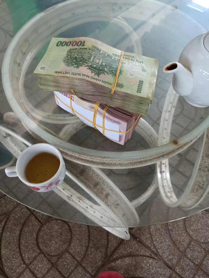 Đất vườn Bàu Chinh, Châu Đức 10.000m² giá 800 triệu - Đầu tư sinh lời ngay!