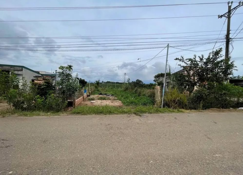 Đất Tân Hội 81m² giá 1.4 tỷ - Khu dân cư đông đúc, thương lượng tốt!