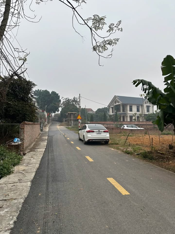 Đất ở khu 6 mới Thanh Đình, TP Việt Trì 156m² giá 1 tỷ - Vị trí đắc địa, tiềm năng cao!