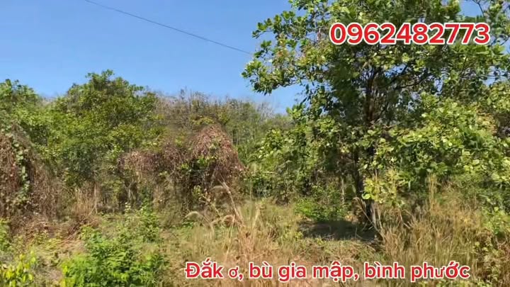 Đất nền thổ cư 2 sào 6, thôn 2 Đak Ơ, giá 1 tỷ - Hướng Đông, sổ chính chủ!