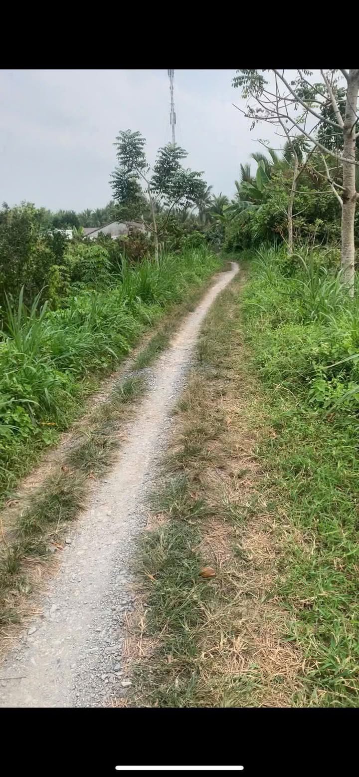 Đất Farm 67.000m² tại Tân Lộc, Vĩnh Long - Giá chỉ 1.62 tỷ - Cơ hội đầu tư tuyệt vời!