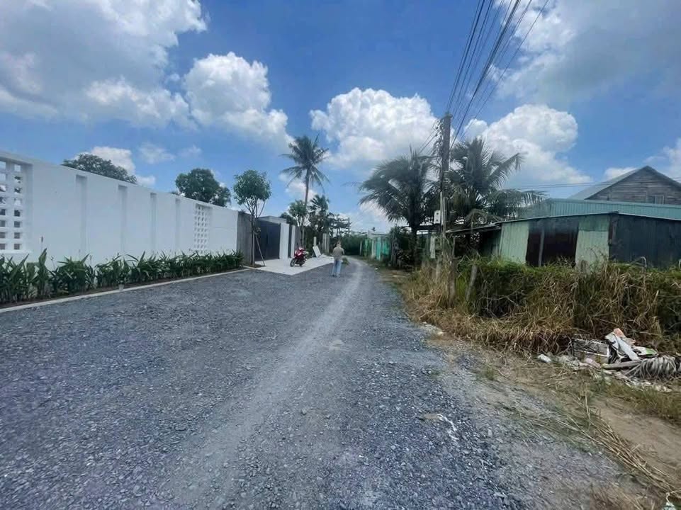 Đất nền đẹp Phước Lợi, Bến Lức 1988m² giá 6.5 tỷ - Xây nhà vườn lý tưởng!