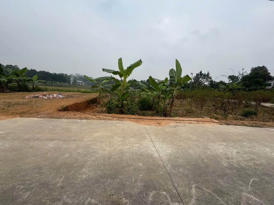 Đất thổ cư 120,6m² tại Phường Thịnh Đán - Giá chỉ 2.x tỷ, ô tô vào tận nơi!