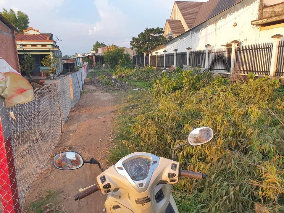 Đất mặt tiền Tỉnh lộ 825, Đức Hòa, 336m² giá 4.55 tỷ - Đầu tư sinh lời ngay!