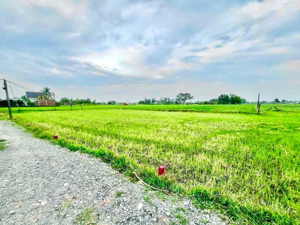 Đất thổ cư Ấp Nhơn Hoà 2, Tây Ninh 110m² giá 550 triệu - Sổ riêng từng nền!