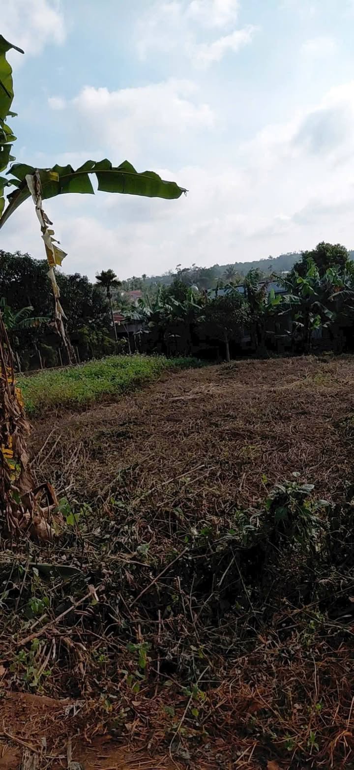 Đất nền hẻm Trần Hưng Đạo Buôn Hồ 160m² - Giá thỏa thuận, sẵn sàng đầu tư!