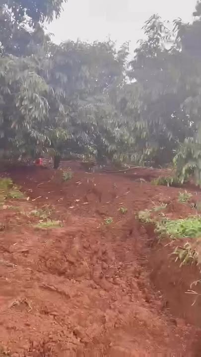 Rẫy 9.5 sào tại Quốc lộ 29, Xã Ea Ngai, giá 7 tỷ - Đầu tư sinh lời ngay!