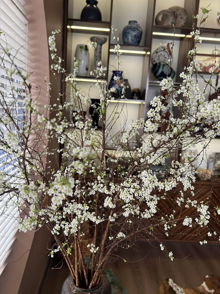 Đất thổ cư Hẻm Bà Triệu (An Bình) 316m² giá 1.799 tỷ - Sổ hồng chính chủ!