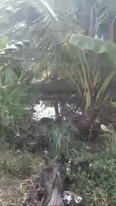 Bán đất mặt tiền Lộ Đal, Huyện Trần Đề, 300m² giá 350 triệu - Đầu tư sinh lời ngay!