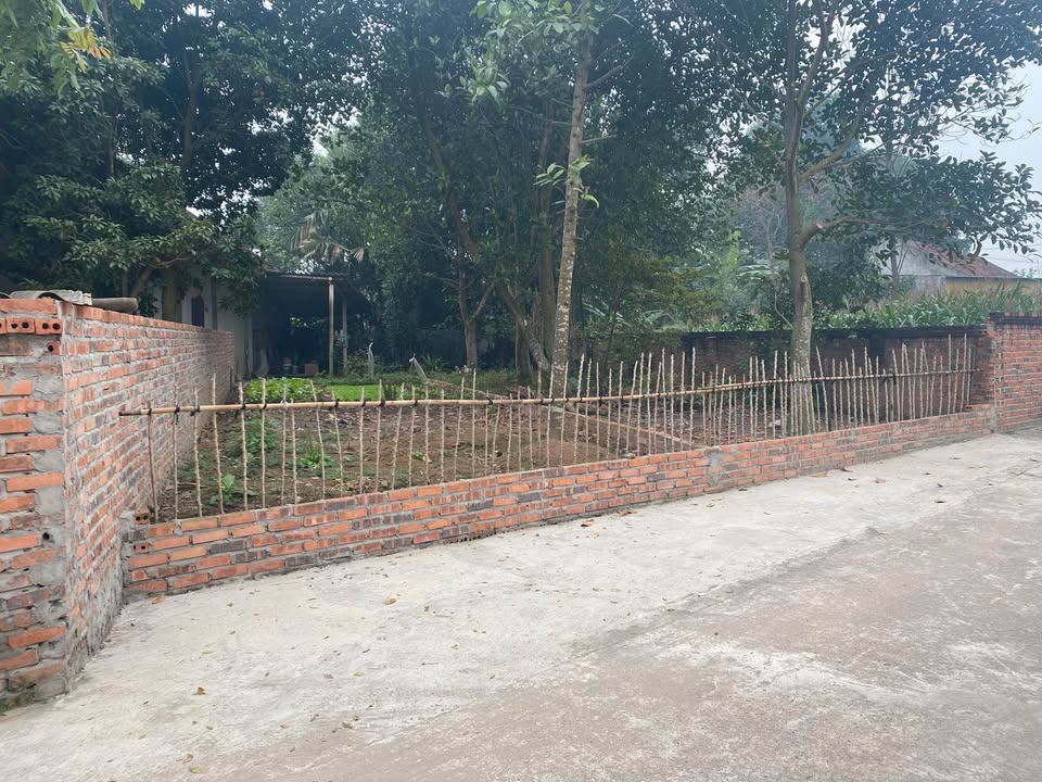 Đất khu 1 Thanh Đình, 138m² giá chỉ 8xx triệu - Cơ hội đầu tư tuyệt vời!