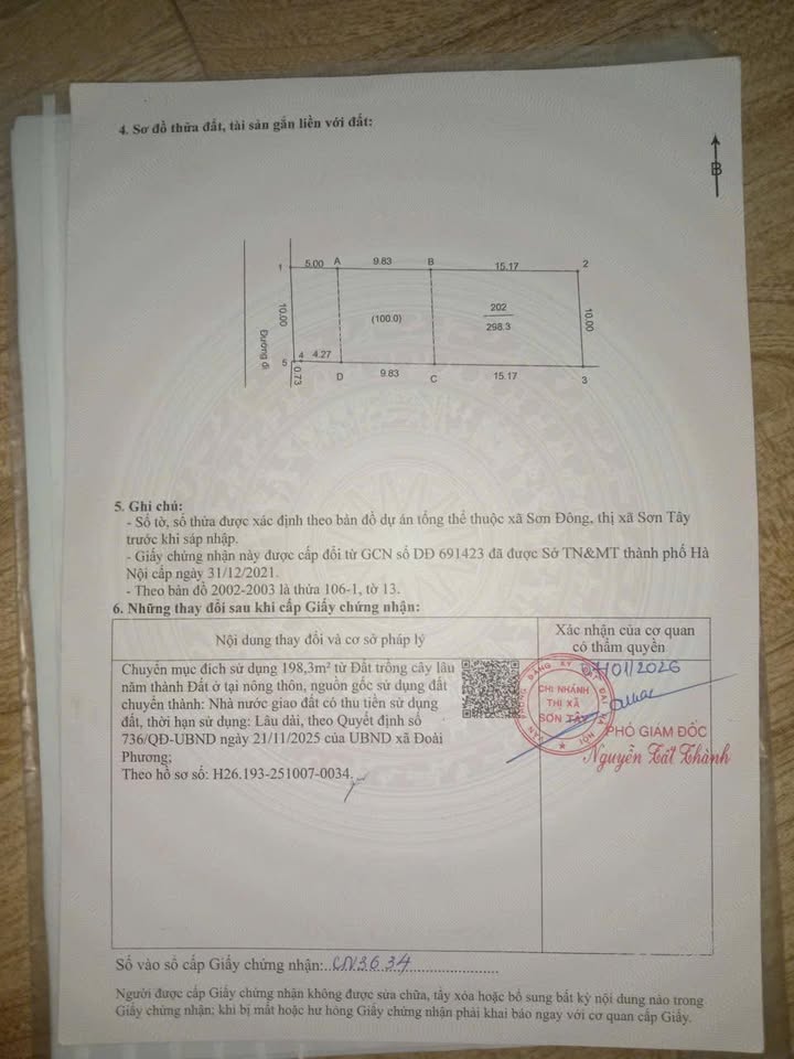 Đất thổ cư 298.3m² tại Sơn Đông, Thị xã Sơn Tây, Giá chỉ 20 triệu/m² - Cơ hội đầu tư tuyệt vời!