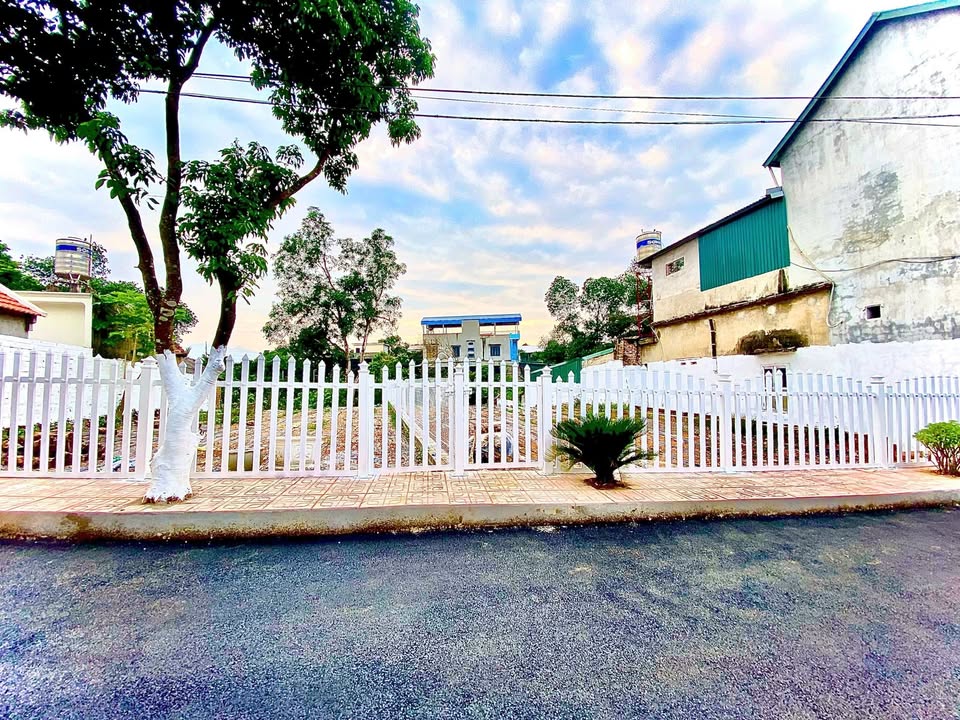 Đất nền Quốc Oai 260m² giá 1x triệu - Sổ đỏ chính chủ, đường oto vào