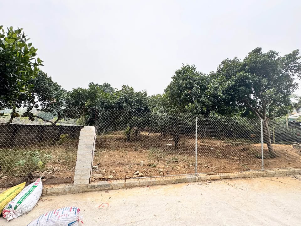 Đất nền Phường Túc Duyên 101m² giá 880 triệu - Vị trí đẹp, không bao giờ ngập!