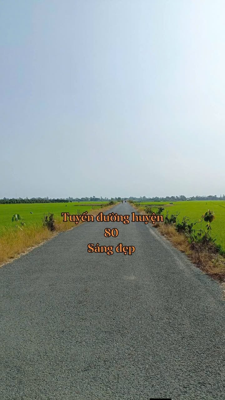 Đất mặt tiền đường huyện 80, xã Mỹ Thuận, 7942m² chỉ 300 triệu - Cơ hội đầu tư tuyệt vời!