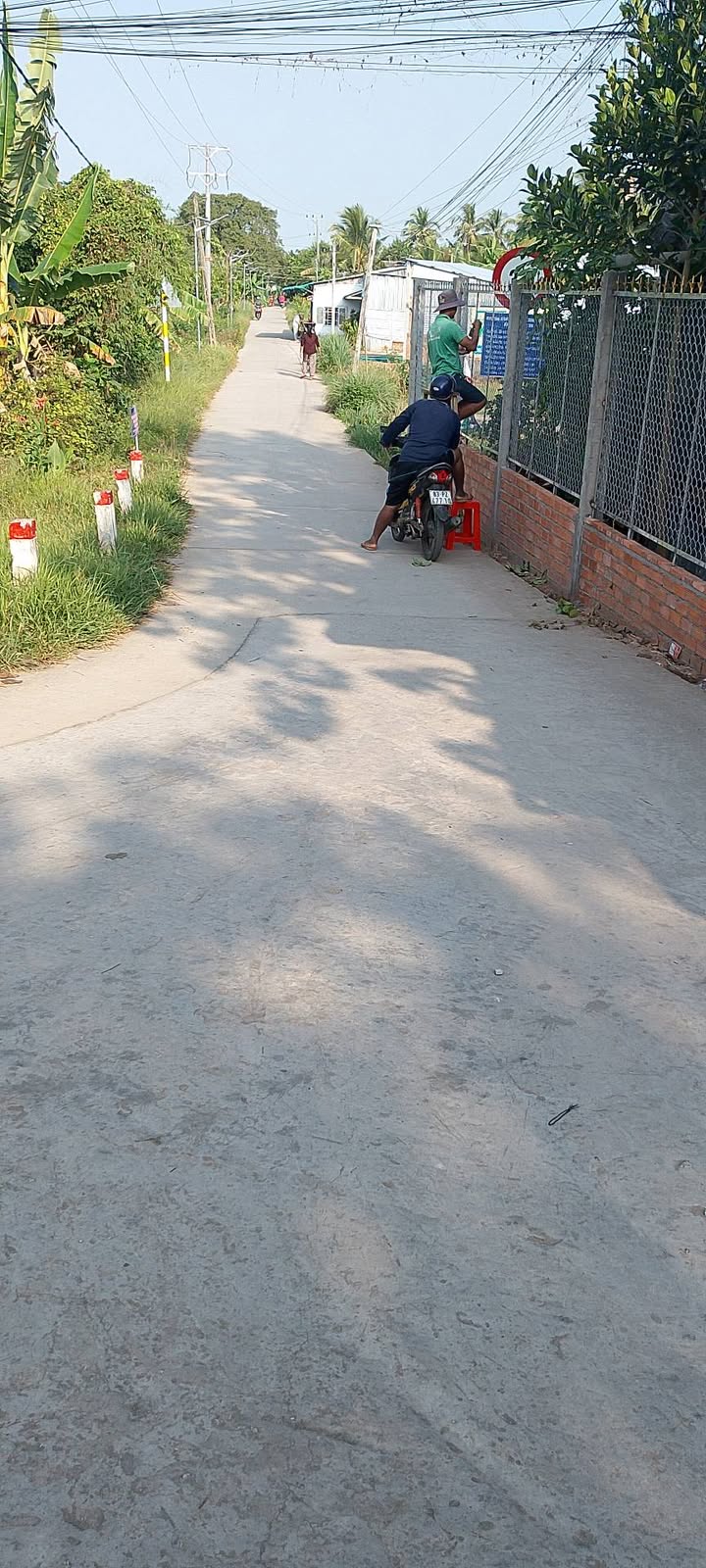 Đất nền mặt tiền lộ Dal, ấp Bưng Chong, 160m² chỉ 290 triệu - Cơ hội đầu tư tuyệt vời!