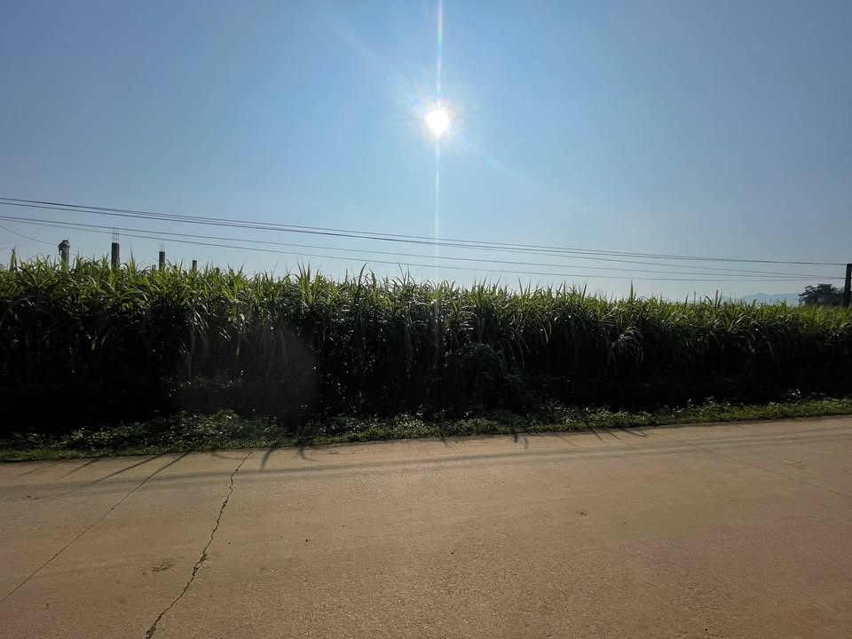 Đất nền xã Suối Hoa, Tân Lạc 200m² giá chỉ 200 triệu - Đầu tư sinh lời ngay!