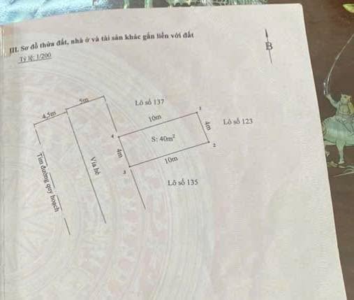 Lô Đất TĐC Tràng Cát 40m² giá chỉ 2.55 tỷ - Tiềm năng đầu tư lớn!