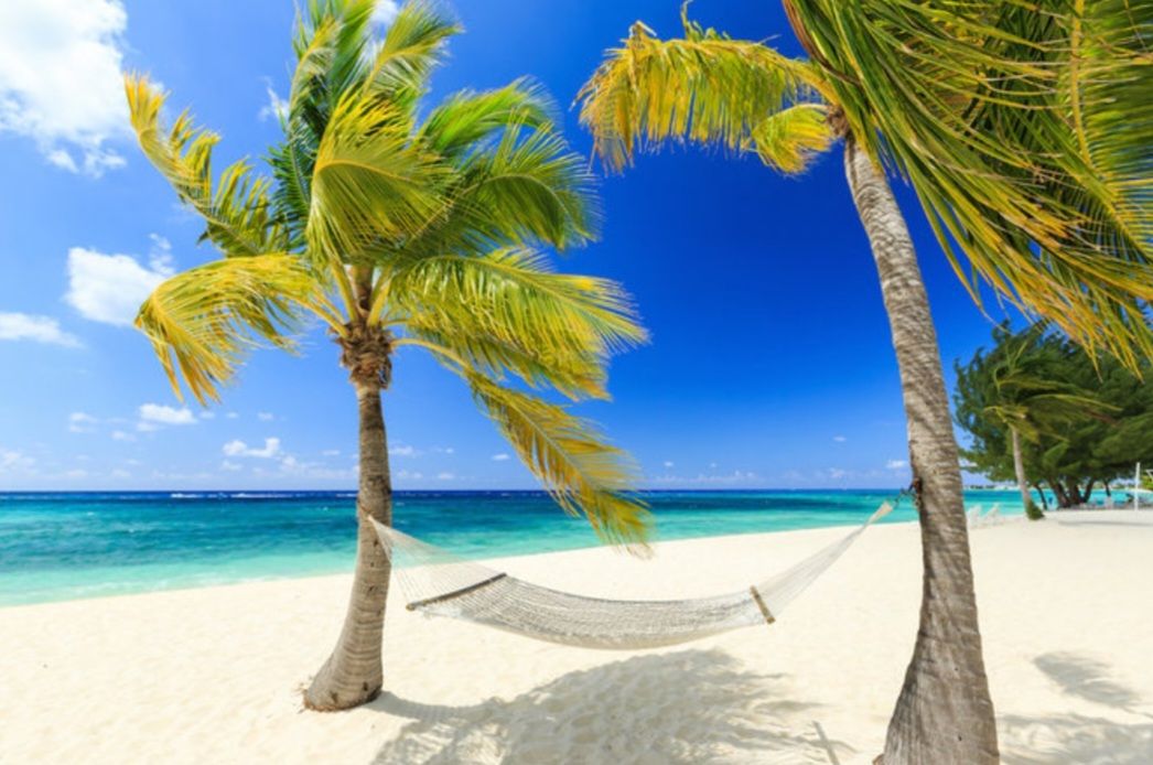 Đất thổ cư 280m² tại Xã Cẩm Giang, Huyện Gò Dầu - Đầu tư sinh lời ngay với giá 300 triệu!