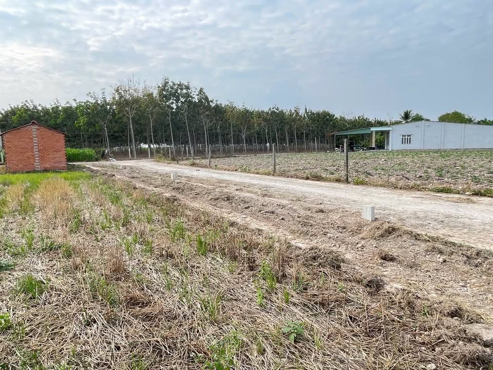 Đất nền Ấp Chồm Dừa Tây Ninh 150m² giá chỉ 20 triệu - Cơ hội đầu tư hấp dẫn!