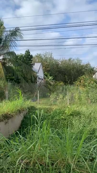 Nhà mặt tiền đường nhựa Ấp Cầu, Tân Phong, Tân Biên 9800m² giá 6.469 tỷ - Cơ hội đầu tư tuyệt vời!