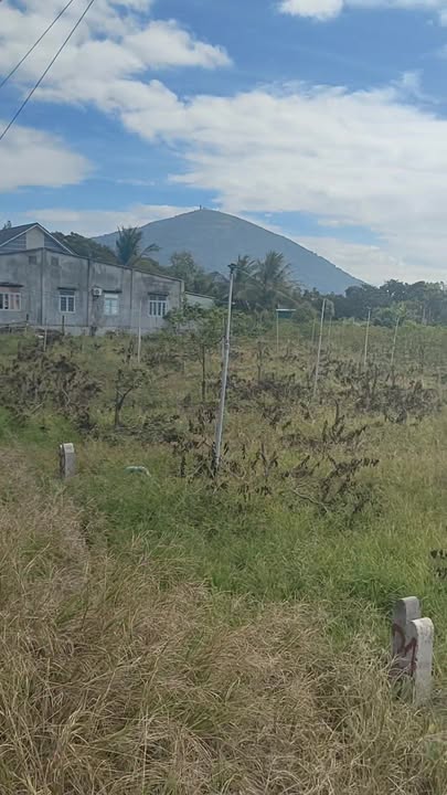 Đất thổ cư Tân Hòa, Tân Châu 150m² giá 400 triệu - View núi Bà tuyệt đẹp!