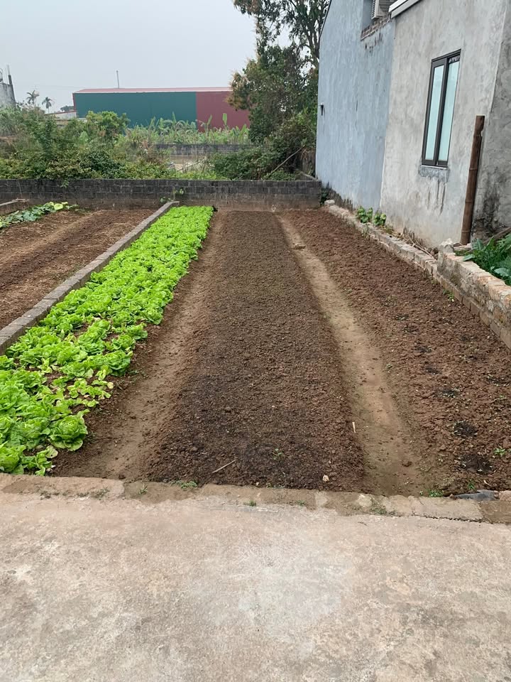 Đất nền Olympic Vin Thường Tín 47,2m² giá 3.6 tỷ - Chính chủ bán gấp!