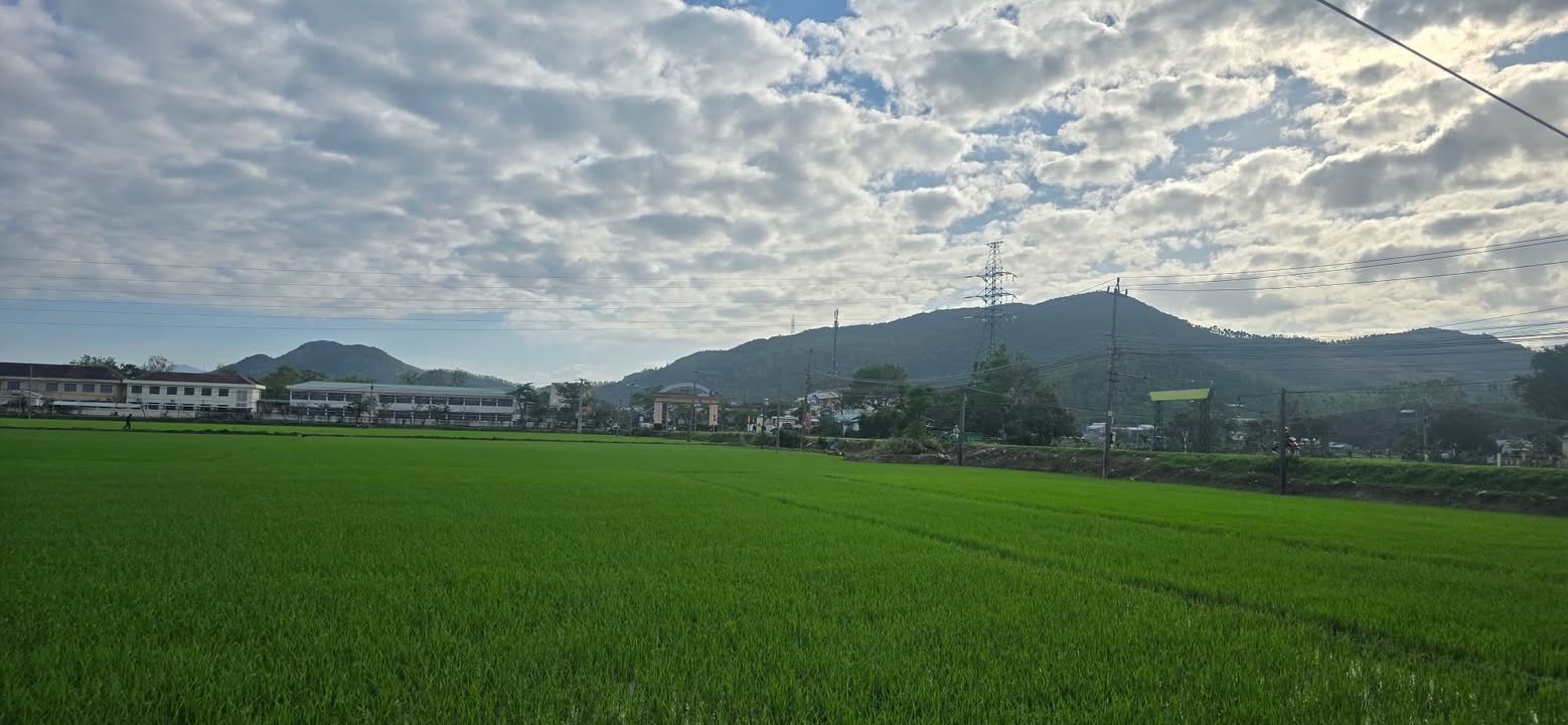 Đất chính chủ Xã Phước An, Tuy Phước 90m² giá chỉ 400 triệu - Cơ hội đầu tư tuyệt vời!