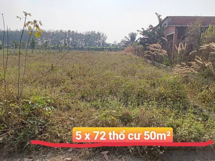 Đất Lộc Khê, Gia Lộc, Trảng Bàng, Tây Ninh - 360m², giá 590 triệu - Đầu tư an toàn, pháp lý rõ ràng!